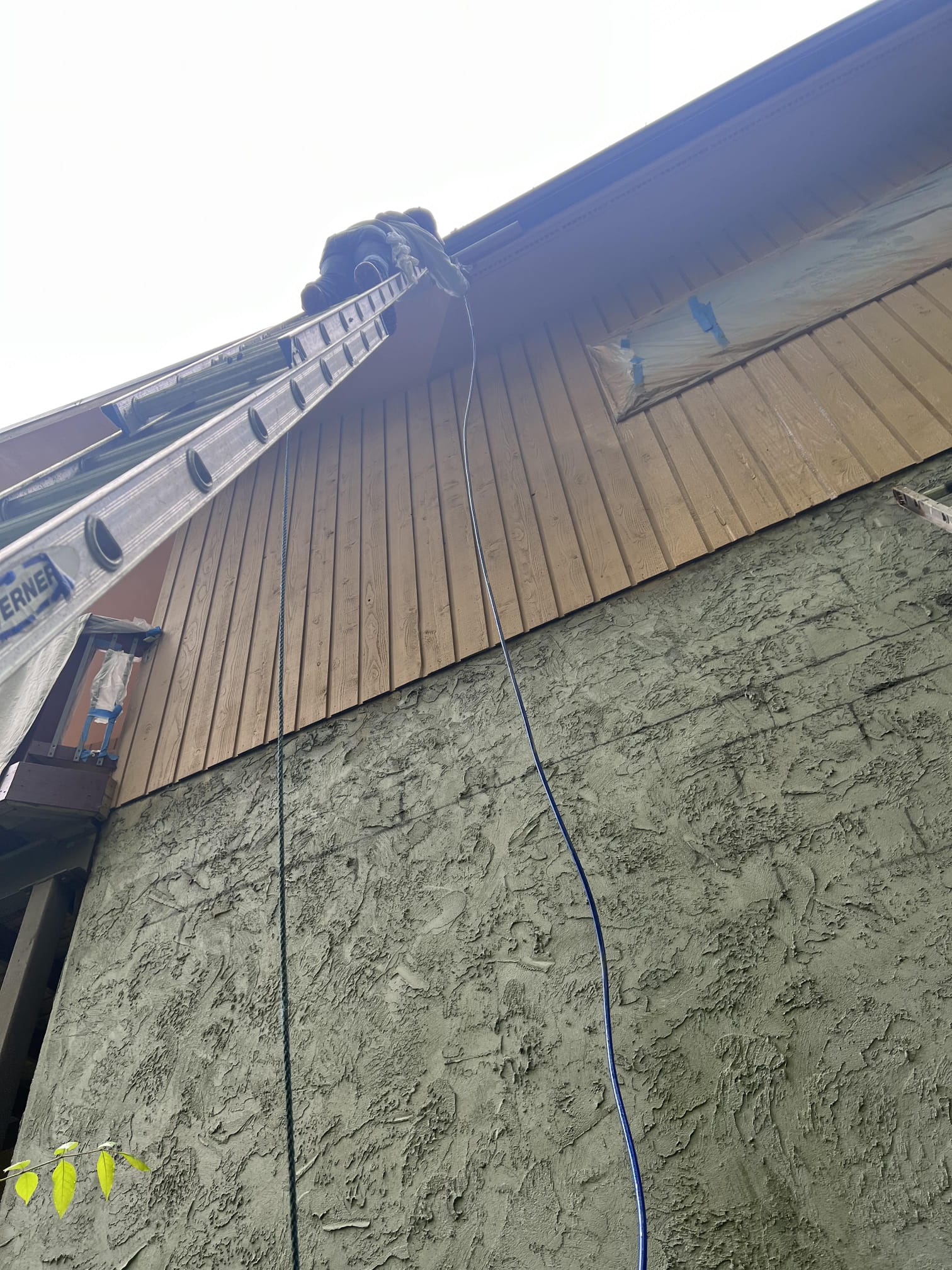 Alfred Home Improvement project